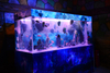 Large acrylic fish tank for sale Leyu Acrylic Factory specializes in customizing for you ensuring that it will not turn yellow for 20 years - LEYU