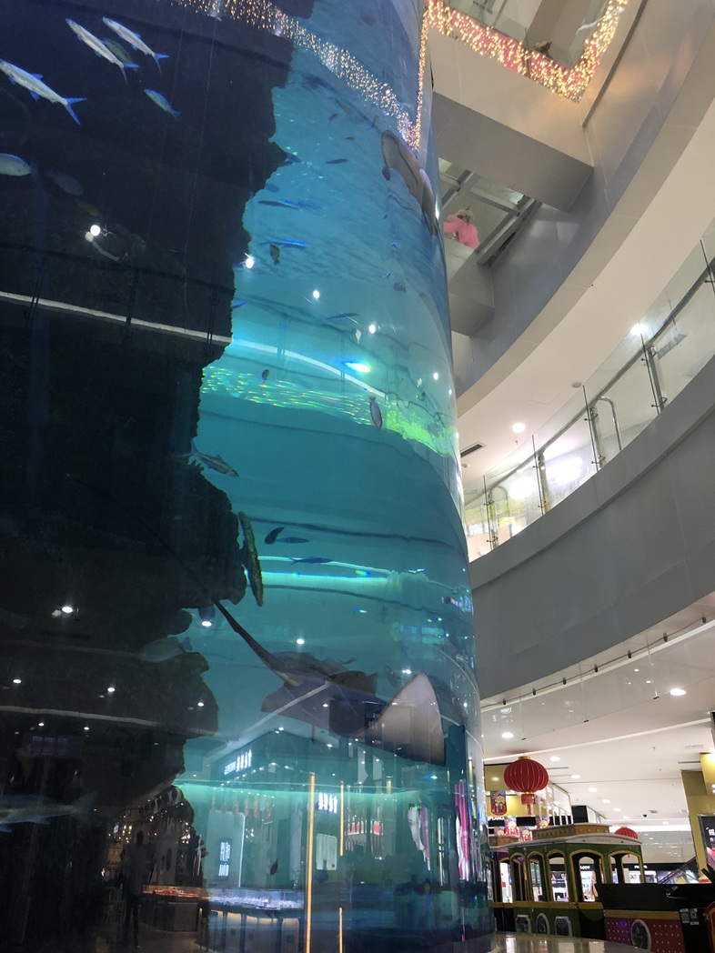 How to construct Large diameter Acrylic cylinder Aquariums-Leyu Acrylic Sheet Products Factory
