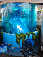 //iororwxhmmkrpr5p.ldycdn.com/cloud/pmBpqKmipmSRmlniipirkp/Tonglu-Aquarium-Project-Leyu-Case7.jpg
