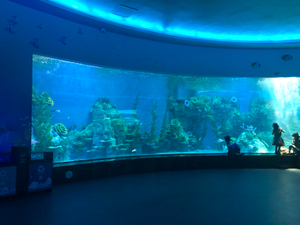  Large Aquarium Acrylic Window Panels - LEYU