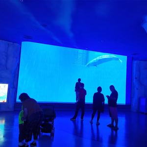 Best Acrylic Aquarium Manufacturer-Leyu Acrylic Sheet Products Factory