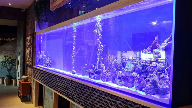 Factory Supply Custom Large Acrylic Fish Tank Aquarium Leyu Acrylic Factory customizes for you - LEYU