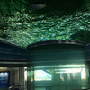 Large Round Acrylic Shark Aquarium Free Fish Tank Leyu Acrylic Factory customizes for you - LEYU