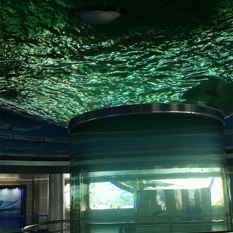 Large Round Acrylic Shark Aquarium Free Fish Tank Leyu Acrylic Factory customizes for you - LEYU
