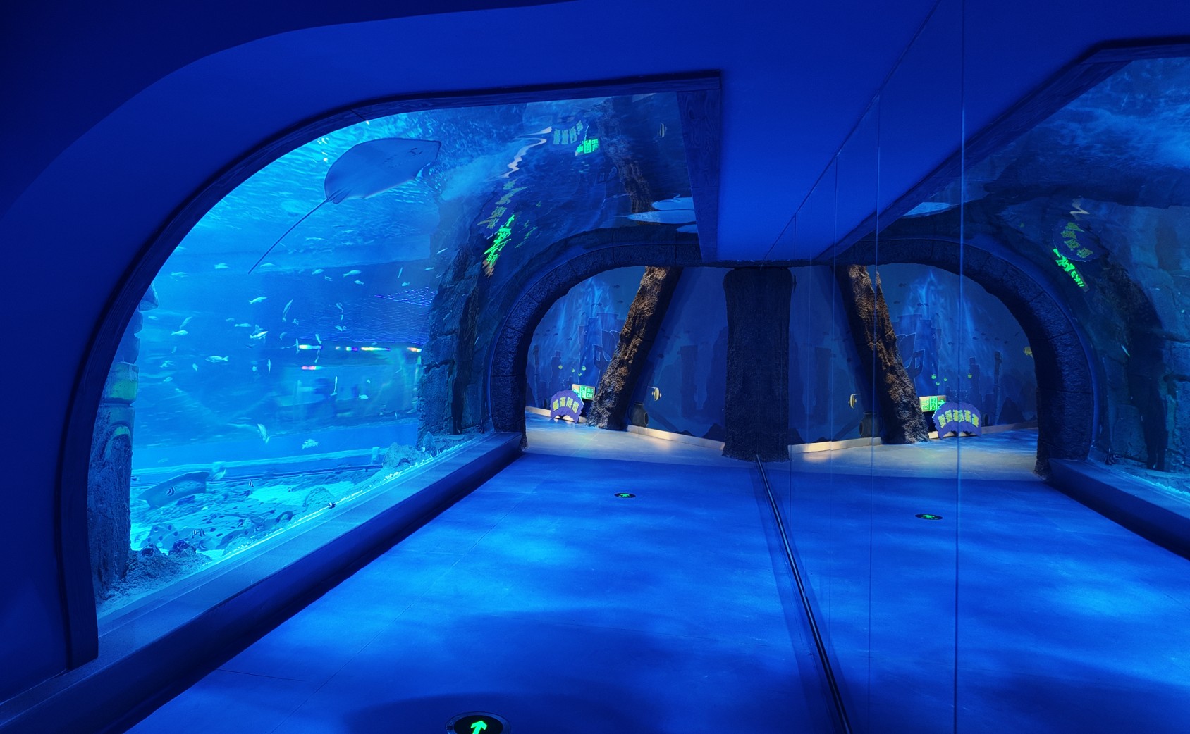 Chengdu Panda Oceanarium &mdash; Leyu Project Case10