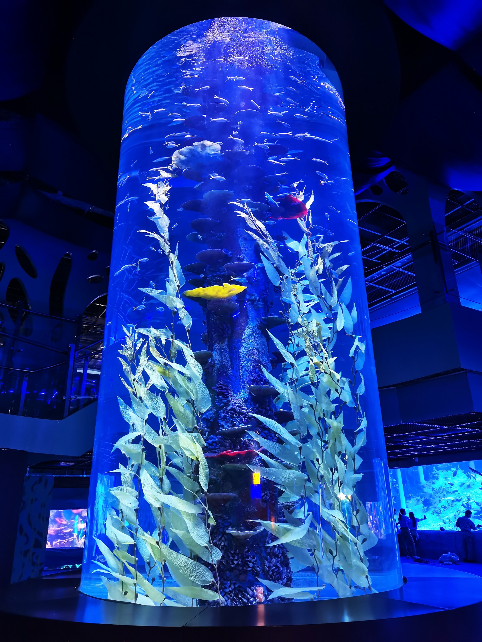 Guangdong Oceanarium &ndash; LEYU&rsquo;s Large Acrylic Aquarium Engineering Case in Guangzhou13