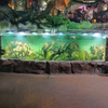 2024 Aquarium can not miss the curved aquarium window design - Leyu Acrylic Sheet Products Factory