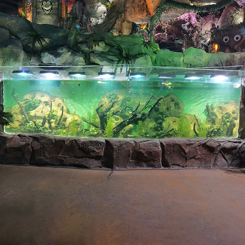 2024 Aquarium ne može propustiti zakrivljeni dizajn prozora akvarija - Fabrika proizvoda od akrilnih ploča Leyu