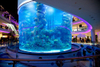 Large aquarium acrylic cylindrical fish tank production and installation - LEYU