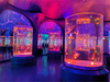 How many Marine parks in the world are public aquariums Acrylic Aquarium - Leyu