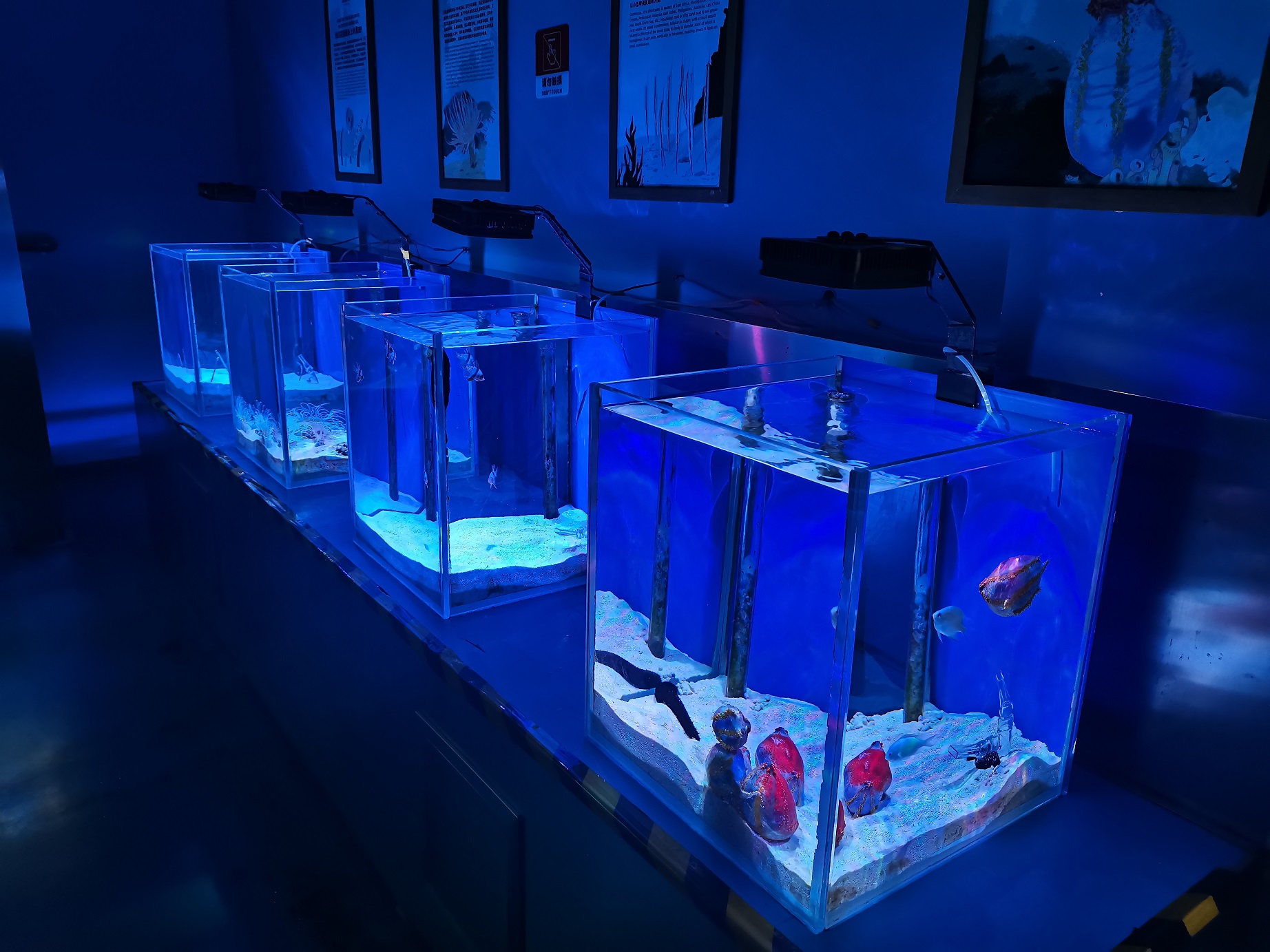 Professional Custom Acrylic Aquarium Manufacturers & Builders - Leyu 