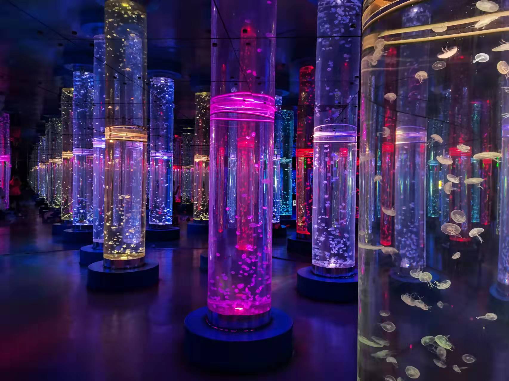 Acrylic fish tank - LEYU