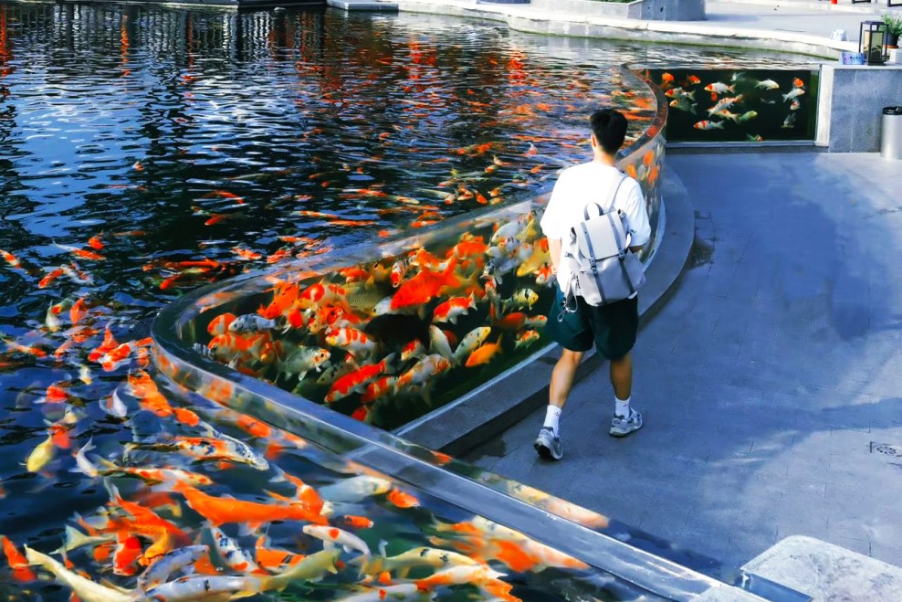 Nanjing Gingko Lake Arowana & Koi Pond Project &ndash; Leyu Case2