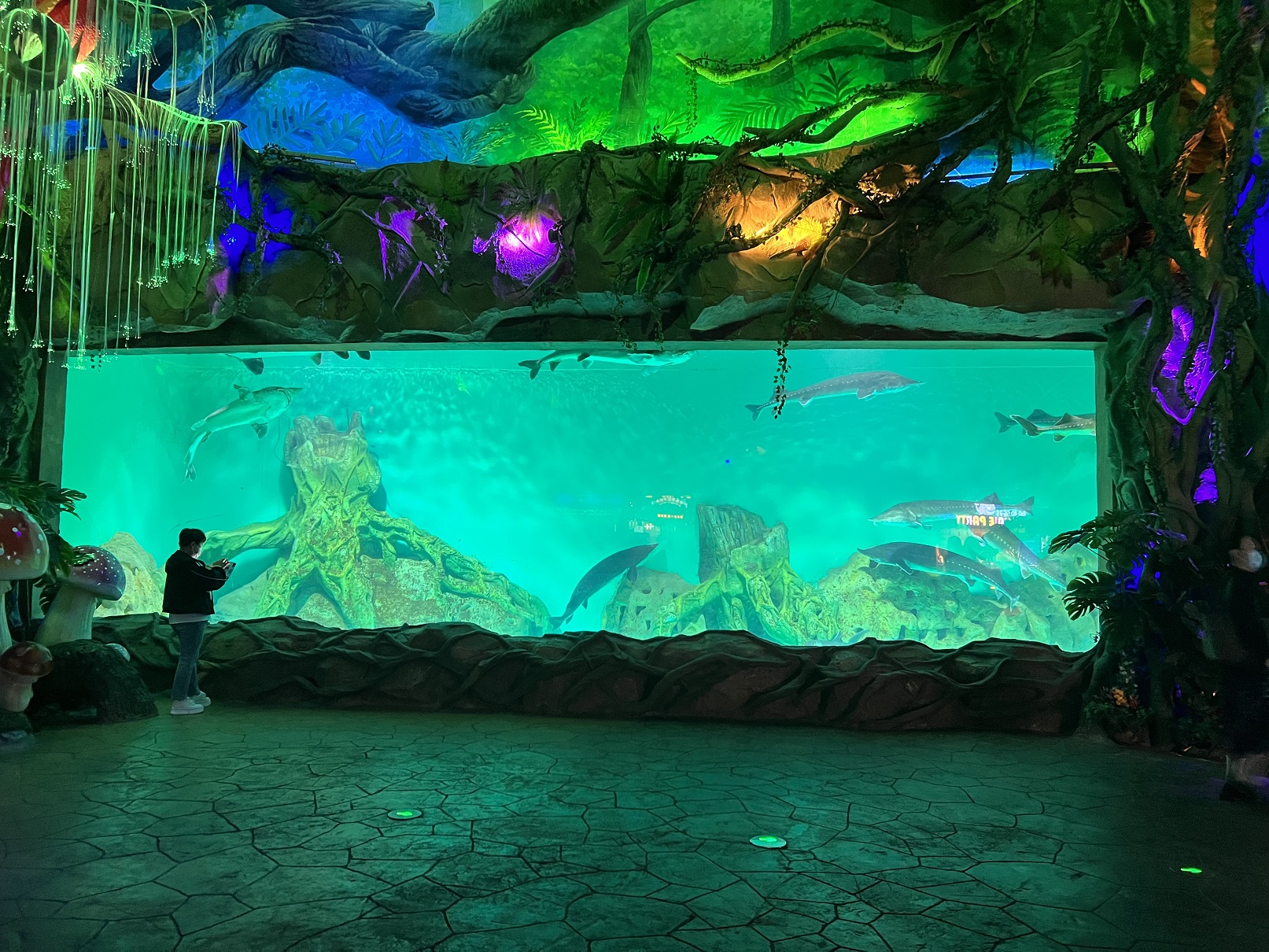 What Type of Acrylic is Used For Aquariums? - Leyu