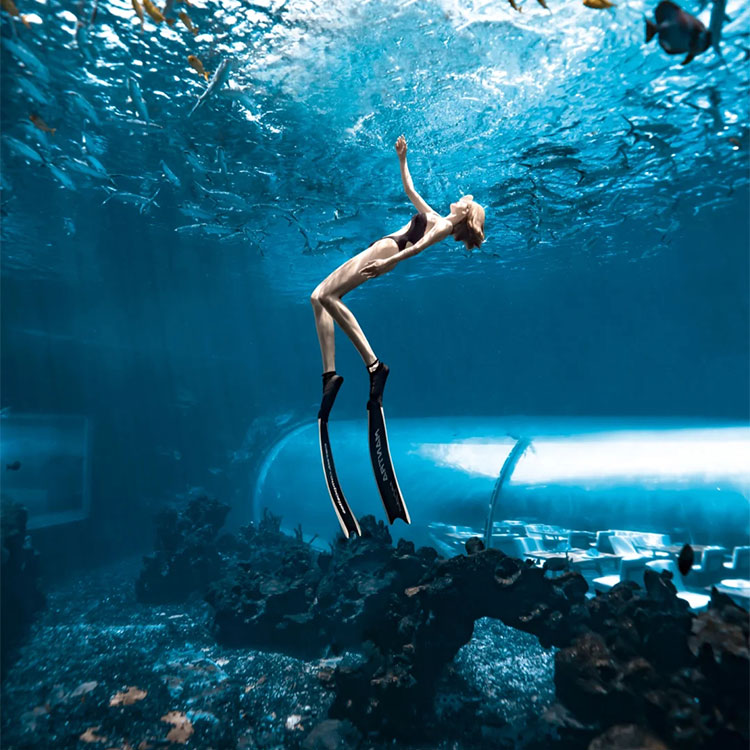 The beautiful aquarium large acrylic tunnel-Leyu Acrylic Sheet Products Factory