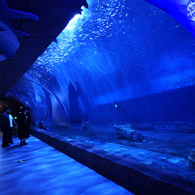 This is how the massive acrylic aquarium windows are made - Leyu Acrylic Sheet Products Factory