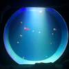 Large Round Acrylic Shark Aquarium Free Fish Tank Leyu Acrylic Factory customizes for you - LEYU