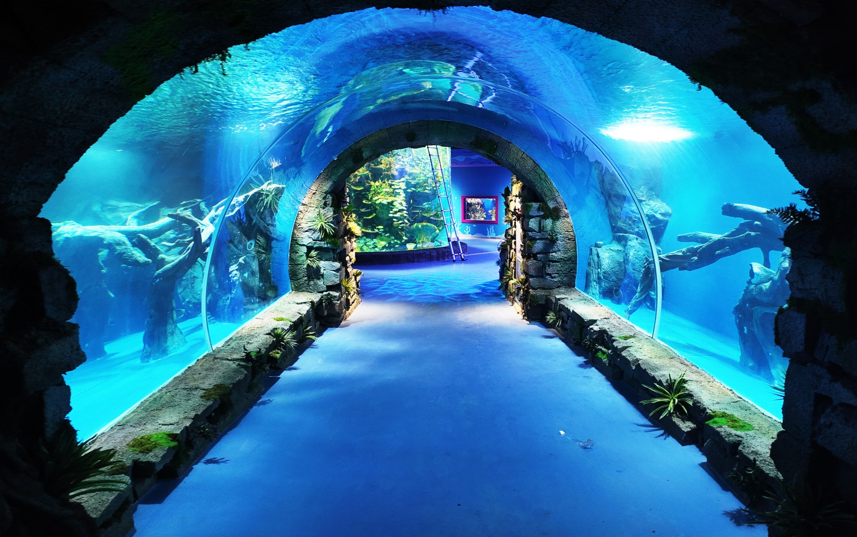 Chengdu Panda Oceanarium &mdash; Leyu Project Case7