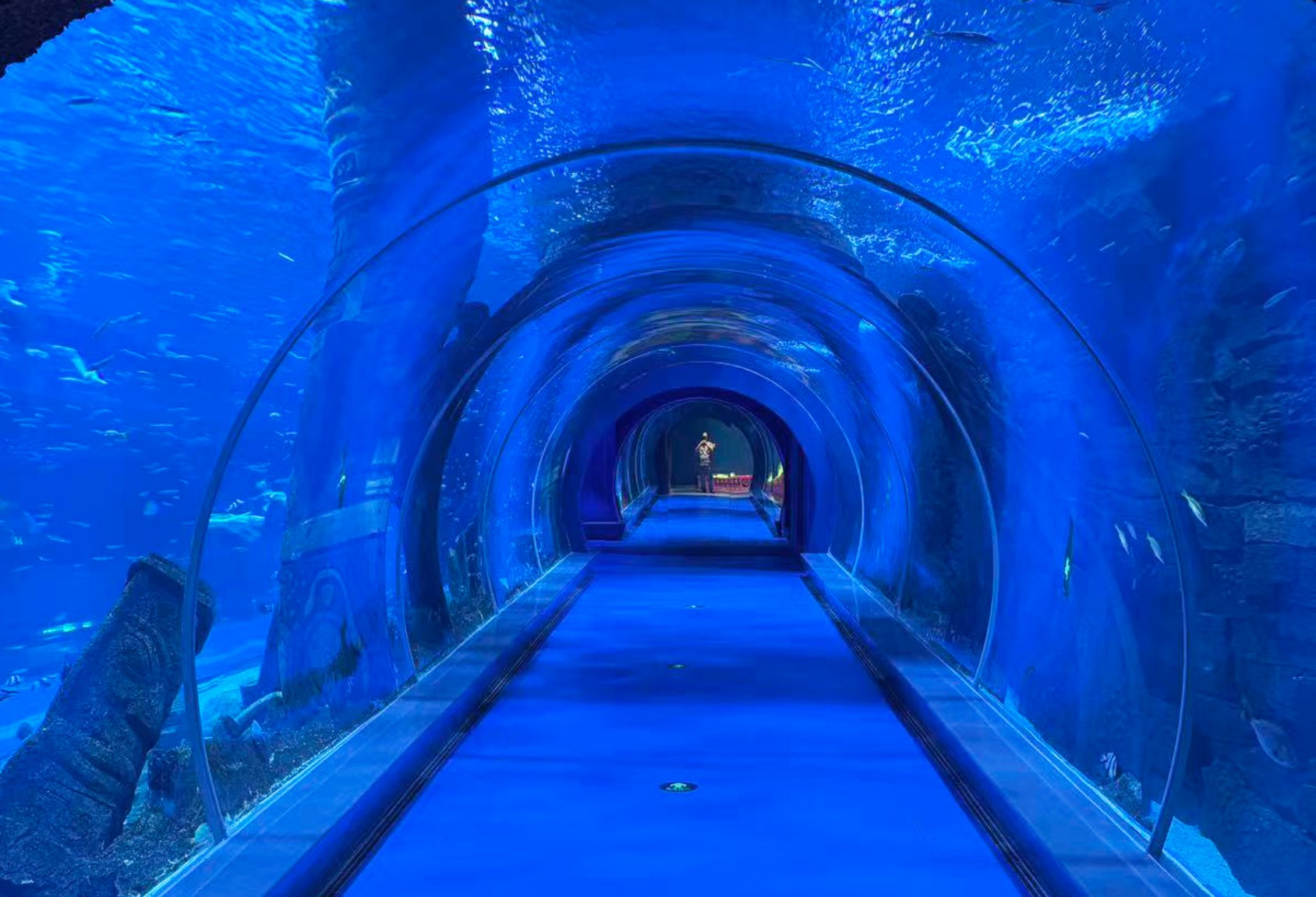 Chengdu Panda Oceanarium &mdash; Leyu Project Case8