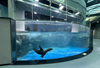 Aqualife Aquarium constructed by Leyu Acrylic Aquarium Factory - Leyu