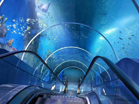 Lucited Material Acrylic Sheet For Customized Aquariums