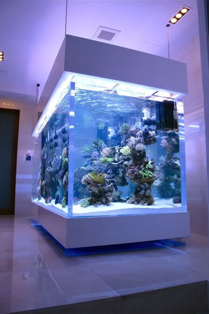 TIPS ON WAYS TO KEEP YOUR ACRYLIC TANK SCRATCH FREE- LEYU ACRYLIC