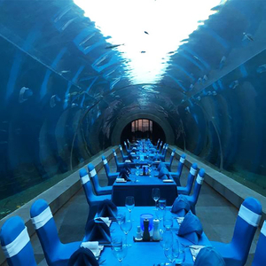 Akuarium Terowong Kaca Akrilik Dalam Air Oceanarium untuk dijual - Kilang Produk Lembaran Akrilik Leyu