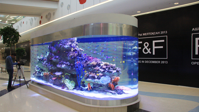 Sea clear acrylic aquarium by the Leyu acrylic aquarium factory - Leyu 