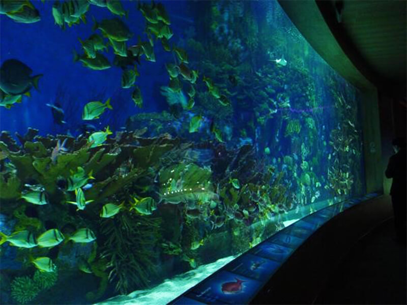 Shenyang Underwater World