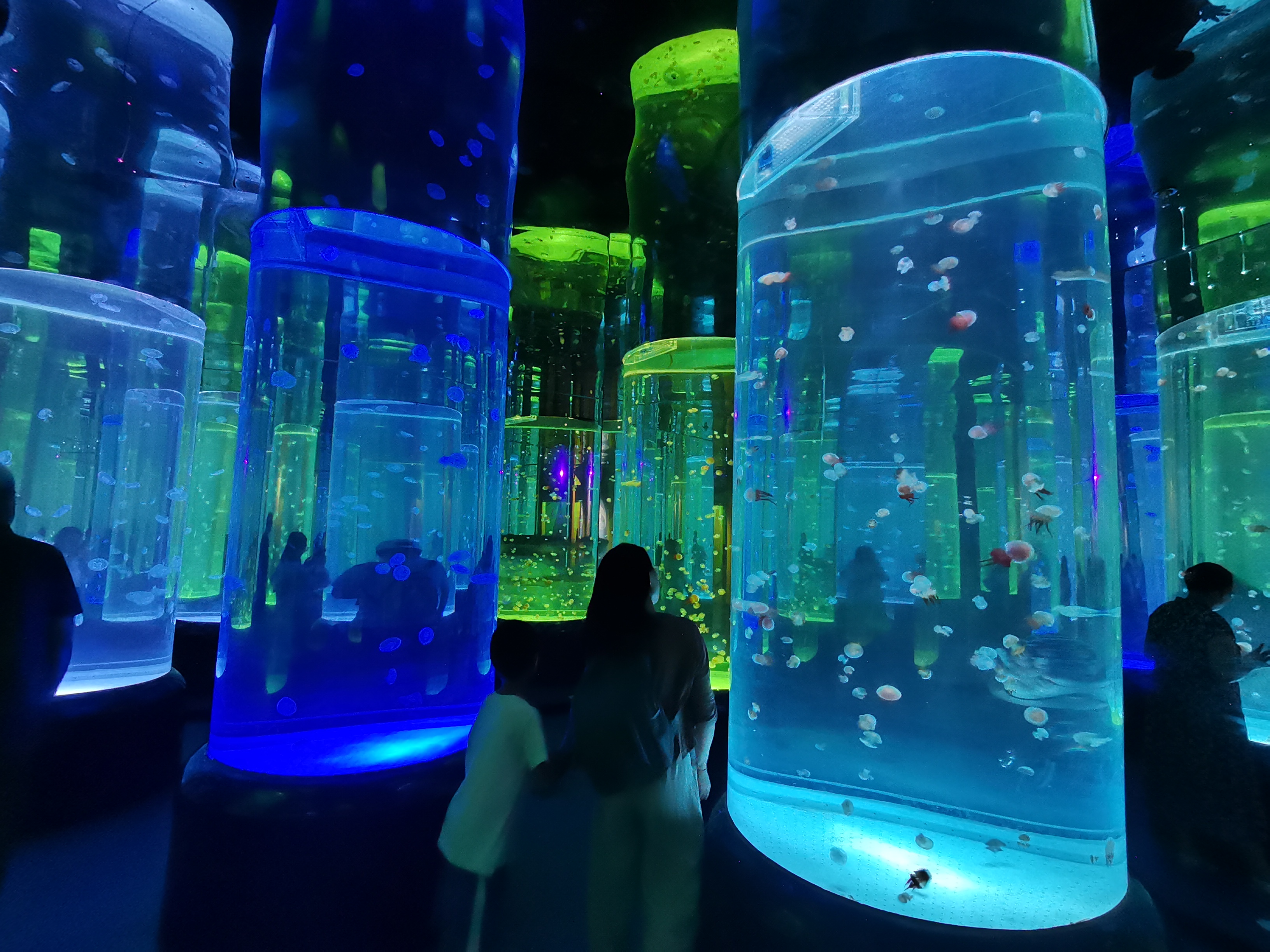 Acrylic fish tank - LEYU