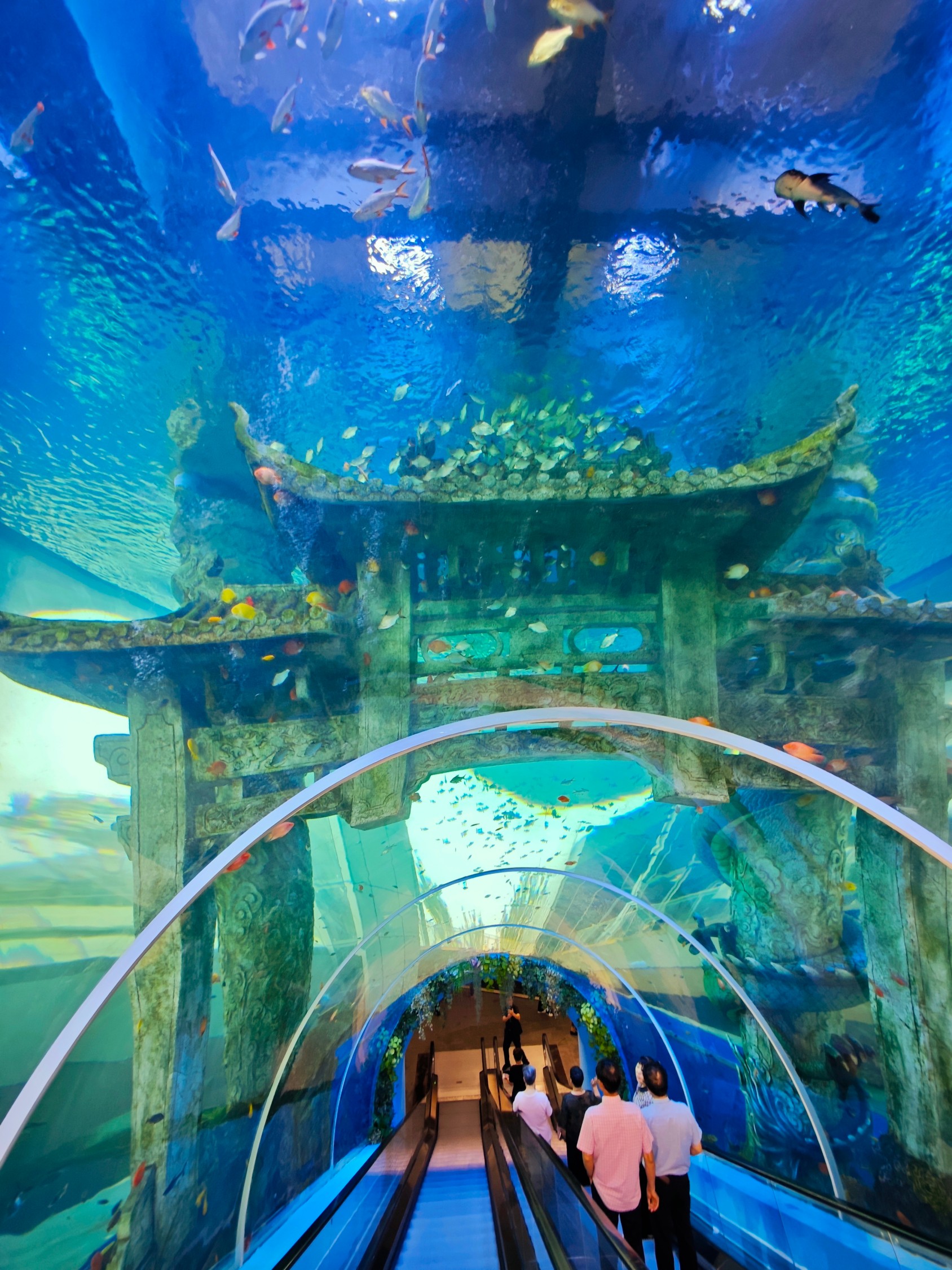 Tonglu Aquarium Project &ndash; Leyu Case3