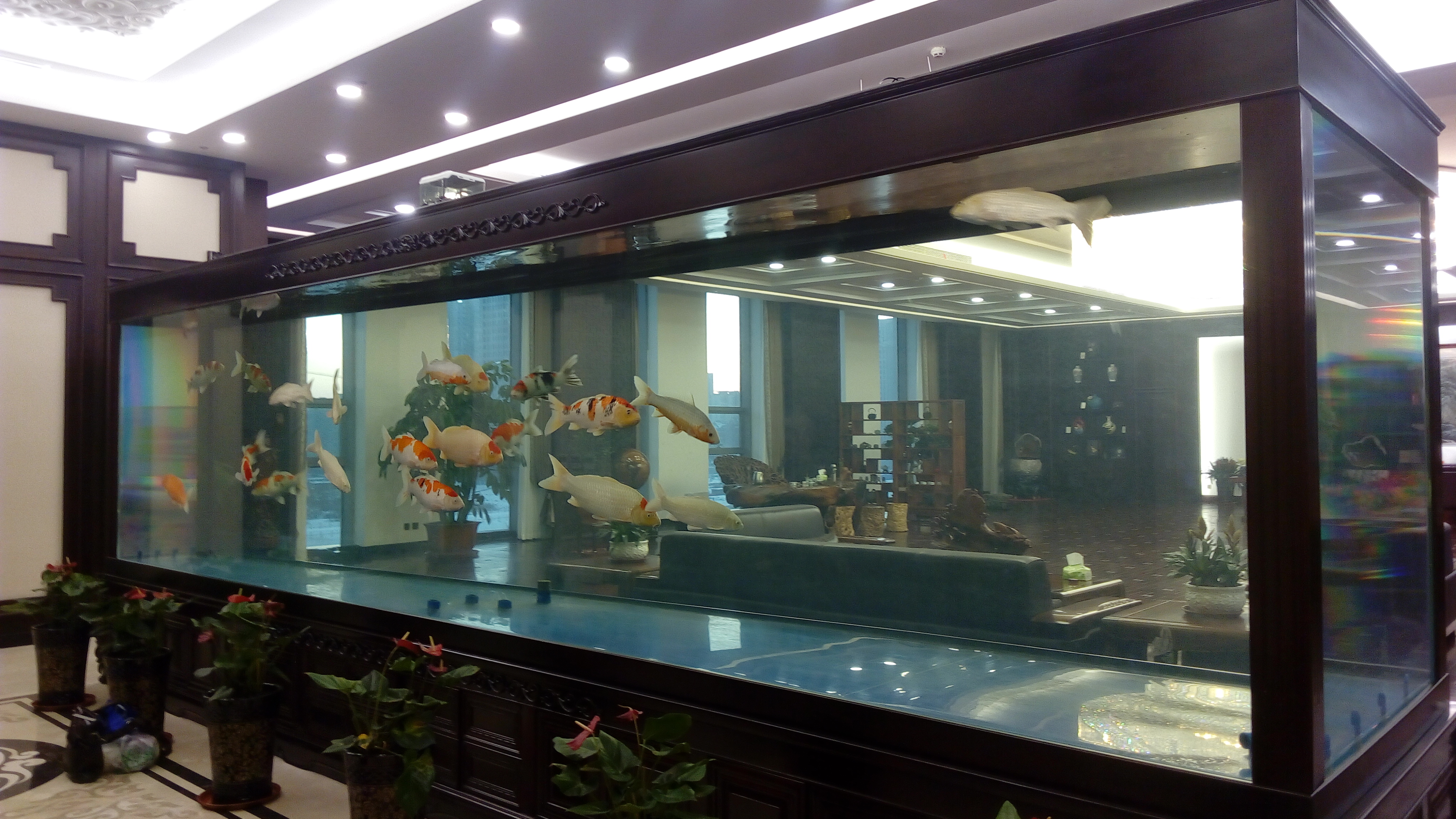The fish tank window in the villa is not to be missed