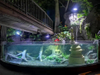 Acrylic Aquariums: Stronger, Lighter, and More Durable - Leyu