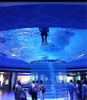 How many Marine parks in the world are public aquariums Acrylic Aquarium - Leyu