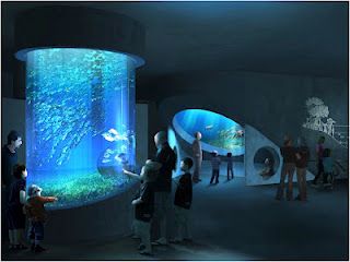 Tangki Ikan Akuarium Akrilik Silinder Jelas Besar Leyu Acrylic Factory menyesuaikan untuk anda - LEYU