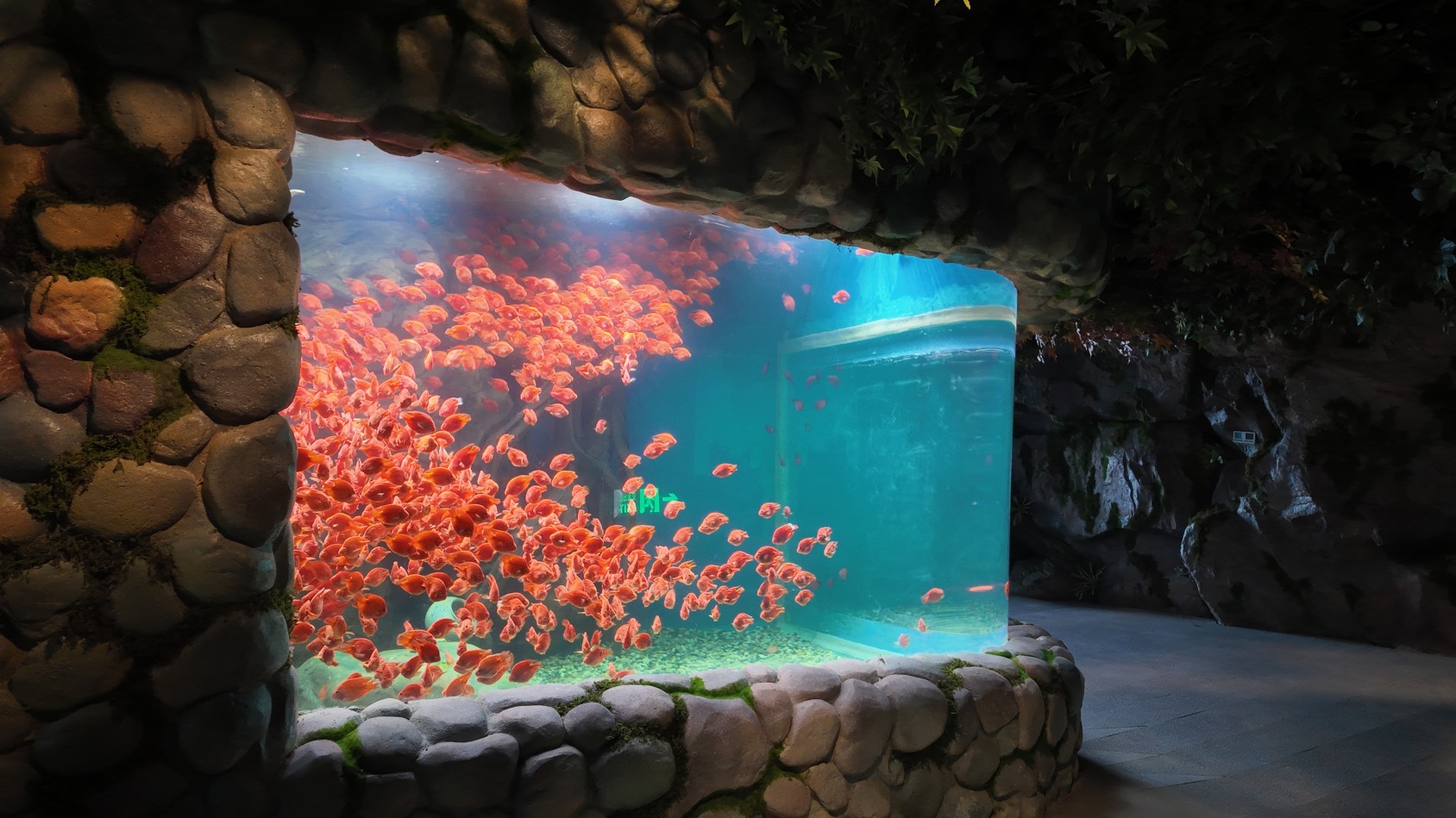Chengdu Panda Oceanarium &mdash; Leyu Project Case4