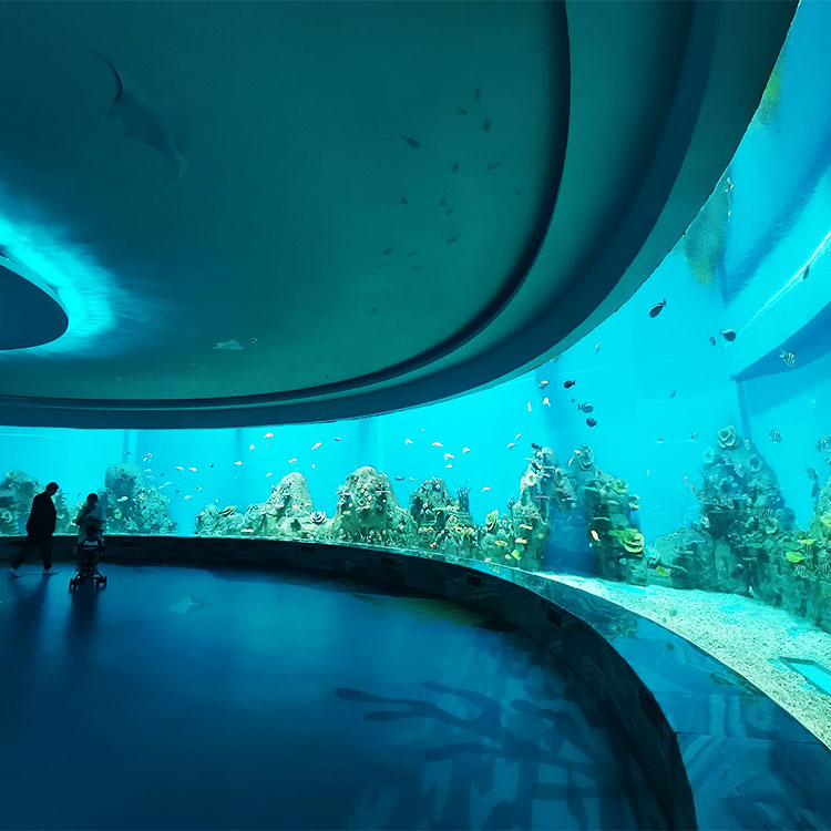 Acrylic window aquarium - factory