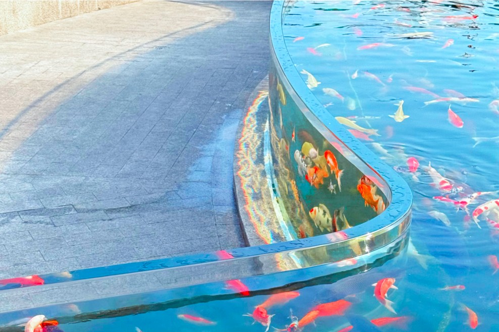 Nanjing Gingko Lake Arowana & Koi Pond Project &ndash; Leyu Case6