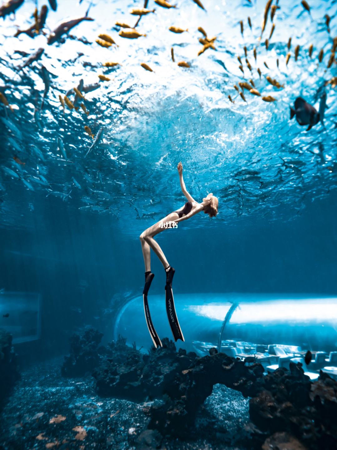 Various acrylic Aquarium Architectures - LEYU