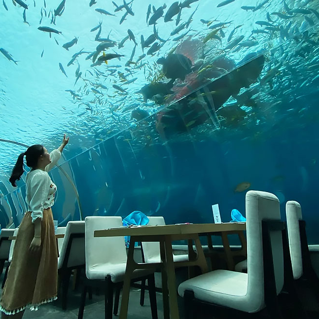 aquarium tunnels like tunnel aquarium bangalore can be manufactured by the Leyu factory - Leyu