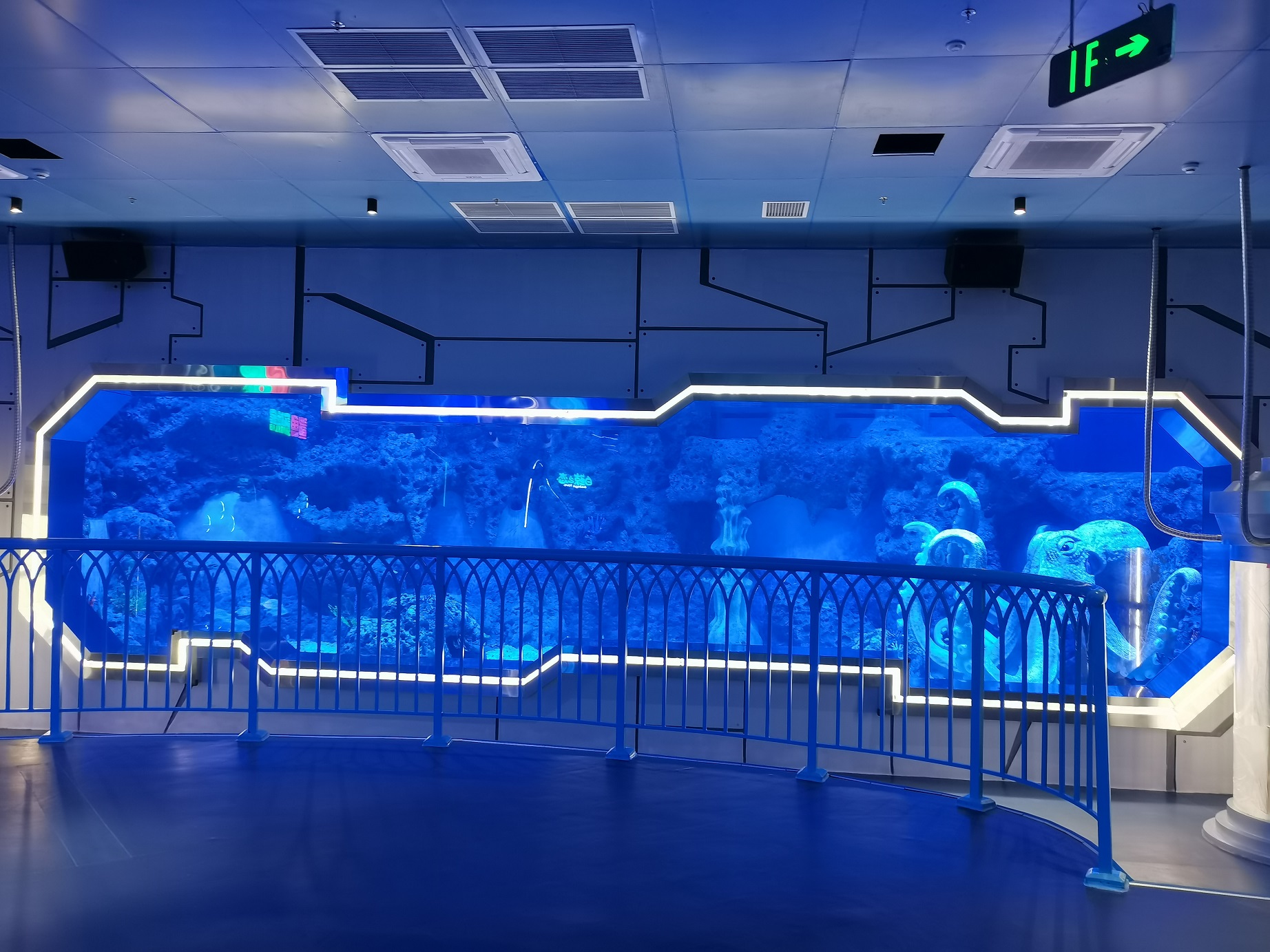 Large acrylic fish tank for sale Leyu Acrylic Factory specializes in customizing for you ensuring that it will not turn yellow for 20 years - LEYU