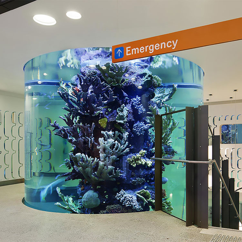 Leyu provide Acrylic fish tank Aquarium popular Design in 2024 - Leyu