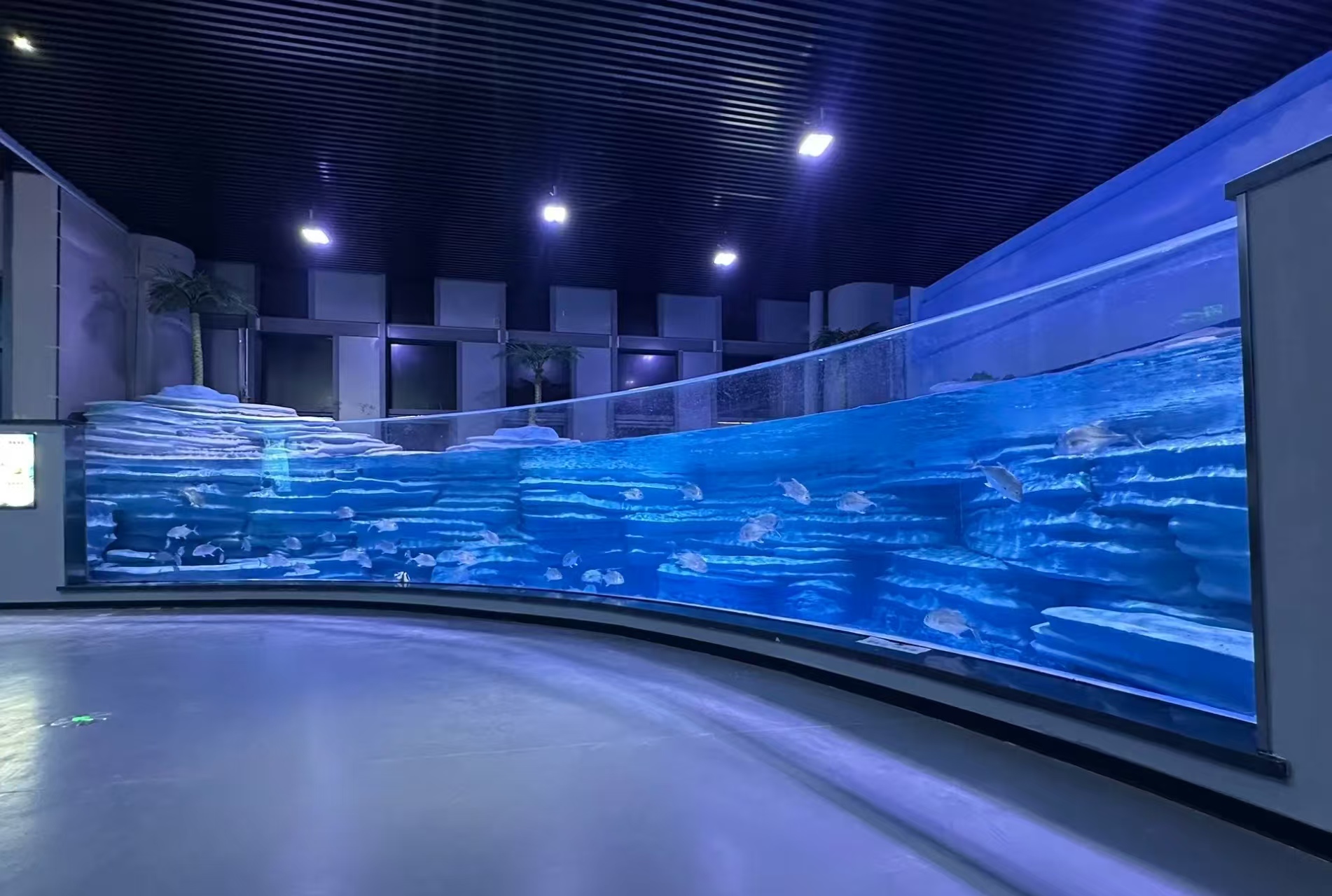 Acrylic Aquarium Project Is A Highly Comprehensive Project