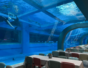 Aquarium Tunnel