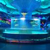 Acrylic Transparent Cylinder Aquariums, Packaging Type: multilayer panels - leyu