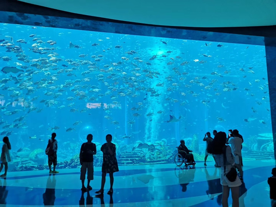 Acrylic Aquariums: Stronger, Lighter, and More Durable - Leyu