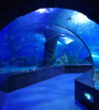 Aquarium underwater tunnels constructed by Leyu acrylic - LEYU