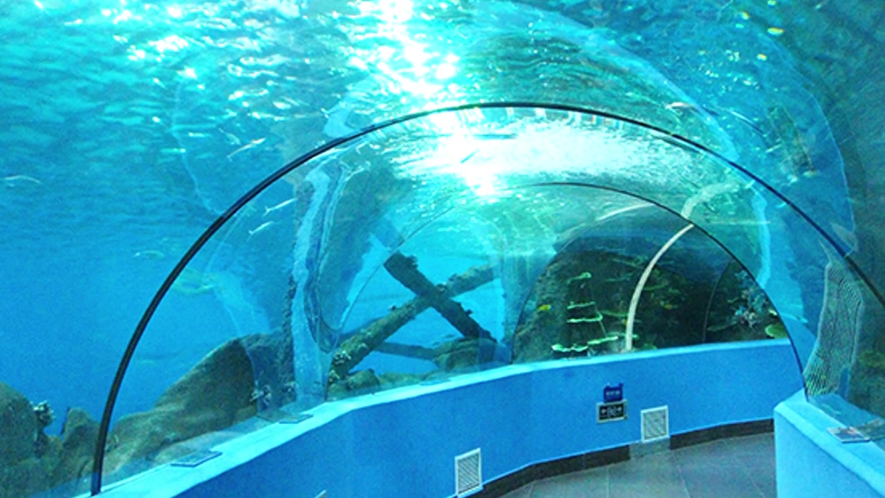 Aquarium underwater tunnel by the Leyu acrylic aquarium factory - Leyu 