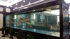 Factory Supply Custom Large Acrylic Fish Tank Aquarium Leyu Acrylic Factory customizes for you - LEYU