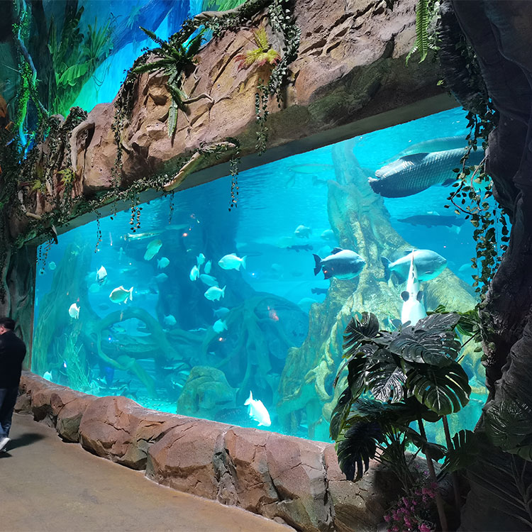 Big Fish Custom Acrylic Aquariums - leyu acrylic 